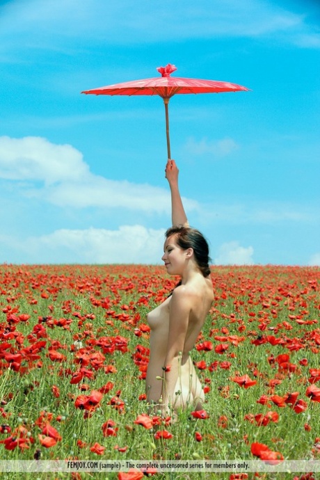 Gorgeous Sofiya flaunts perky tits entirely nude outdoors in endless blooming poppies - 2