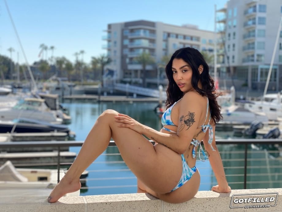 Vanessa Sky se déshabille de son minuscule bikini pour une adulation torride de son cul et une pénétration brutale en POV au bord du quai - 6
