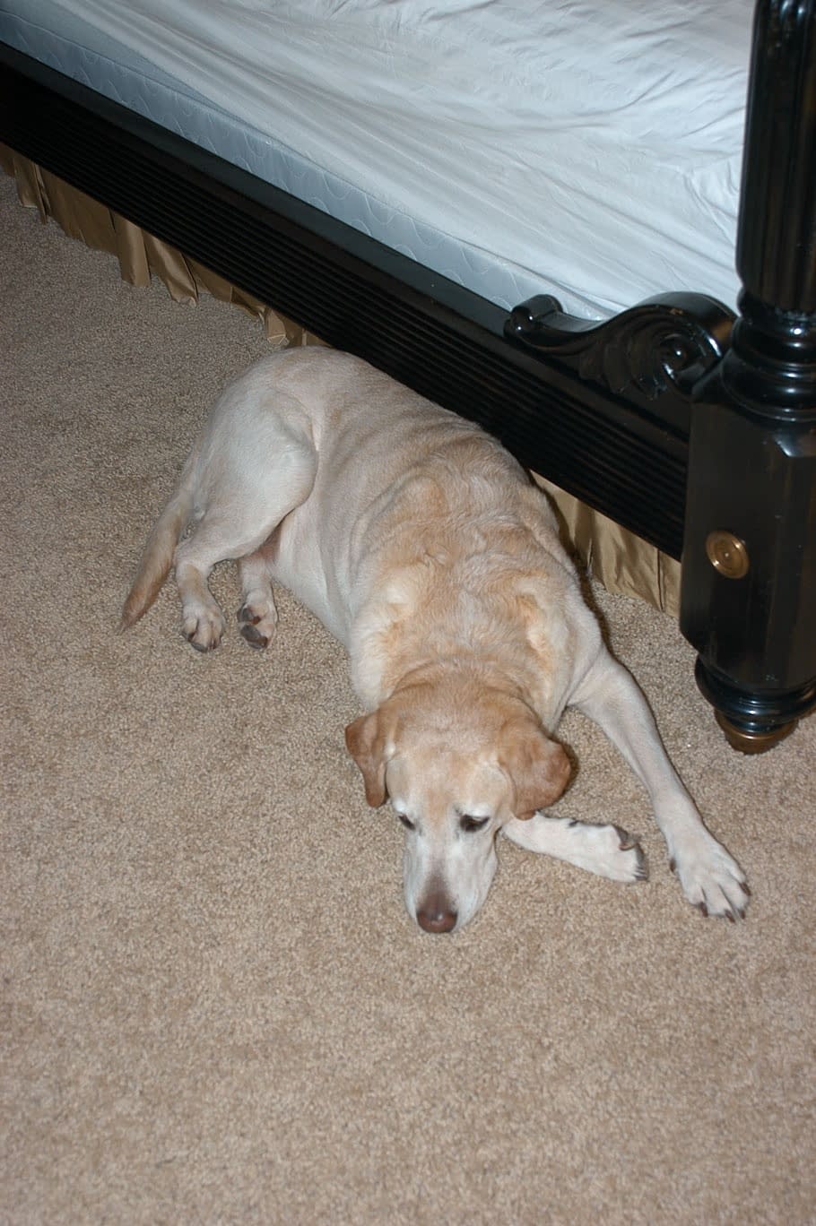 Blonde Monica Mayhem and Kelly proudly flaunting massive natural tits on soft bed sheets - 9