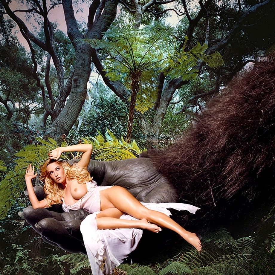 Kendra Wilkinson e cheerleader formose si spogliano in modo selvaggio in una folle frenesia di coniglietti della giungla - 13