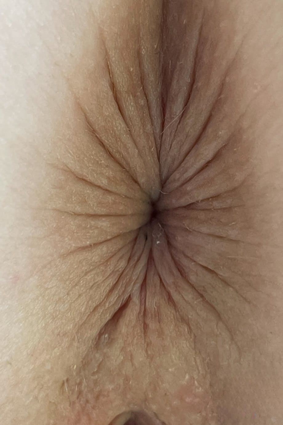 Amateur vixen Madi Collins bares it all, spreading her tight wet holes - 16