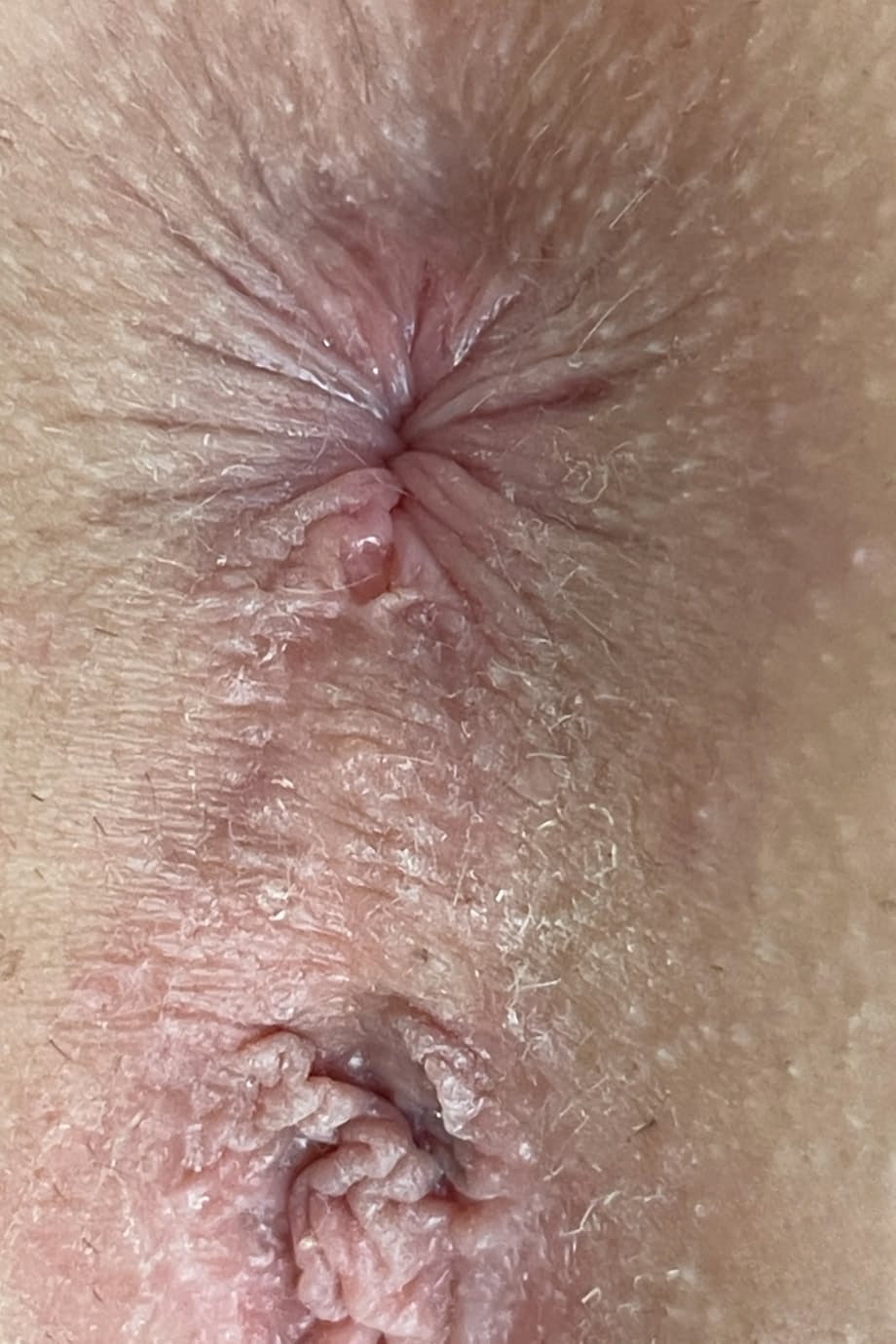La sensual anna claire clouds se desnuda para mostrar sus curvas naturales y su culo redondo en un apasionado despliegue en el dormitorio - 21