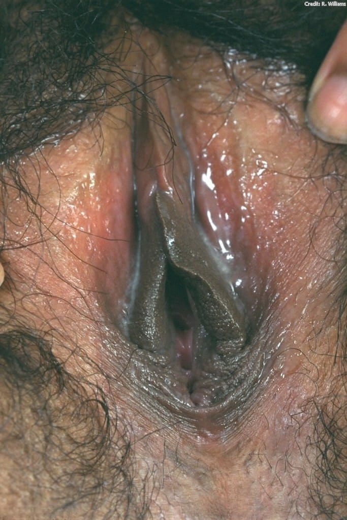 Black first timer Valeria finger spreads her wet pussy during a close-up