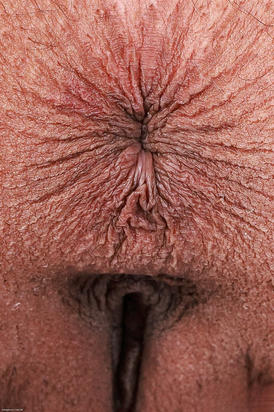 Ryder Rey, la latina sexy, enlève son body en résille rose pour des poses explicites entièrement nue - 21