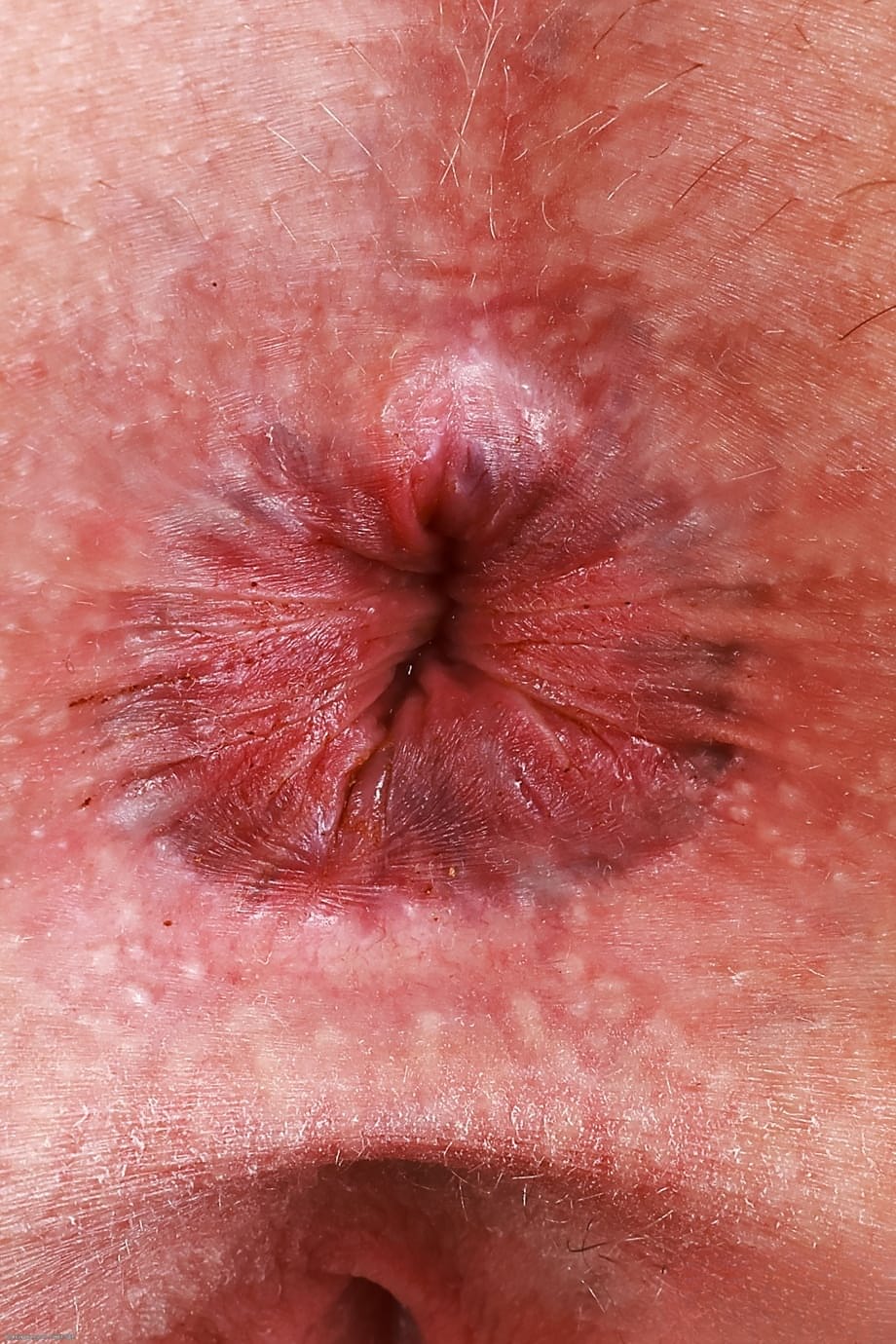 L'alléchante Ava Marina exhibe son ferme cul nu avec son anus grand ouvert - 21