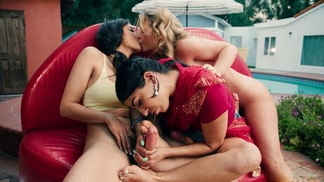 New explores her transsexual cock with two wild partners - 12