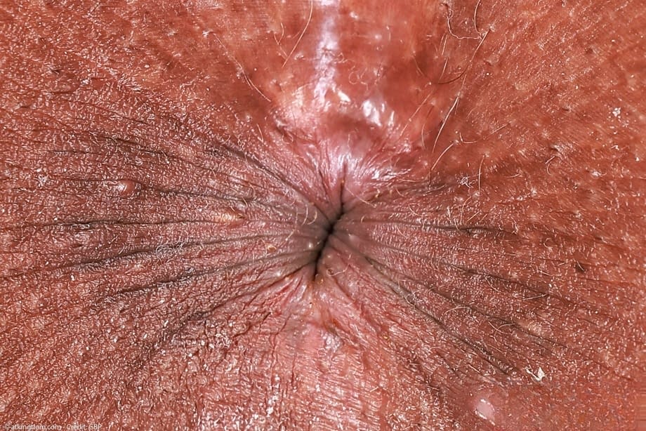 Rhae Woods teases naked Ebony curves while spreading her wet holes close-up - 21
