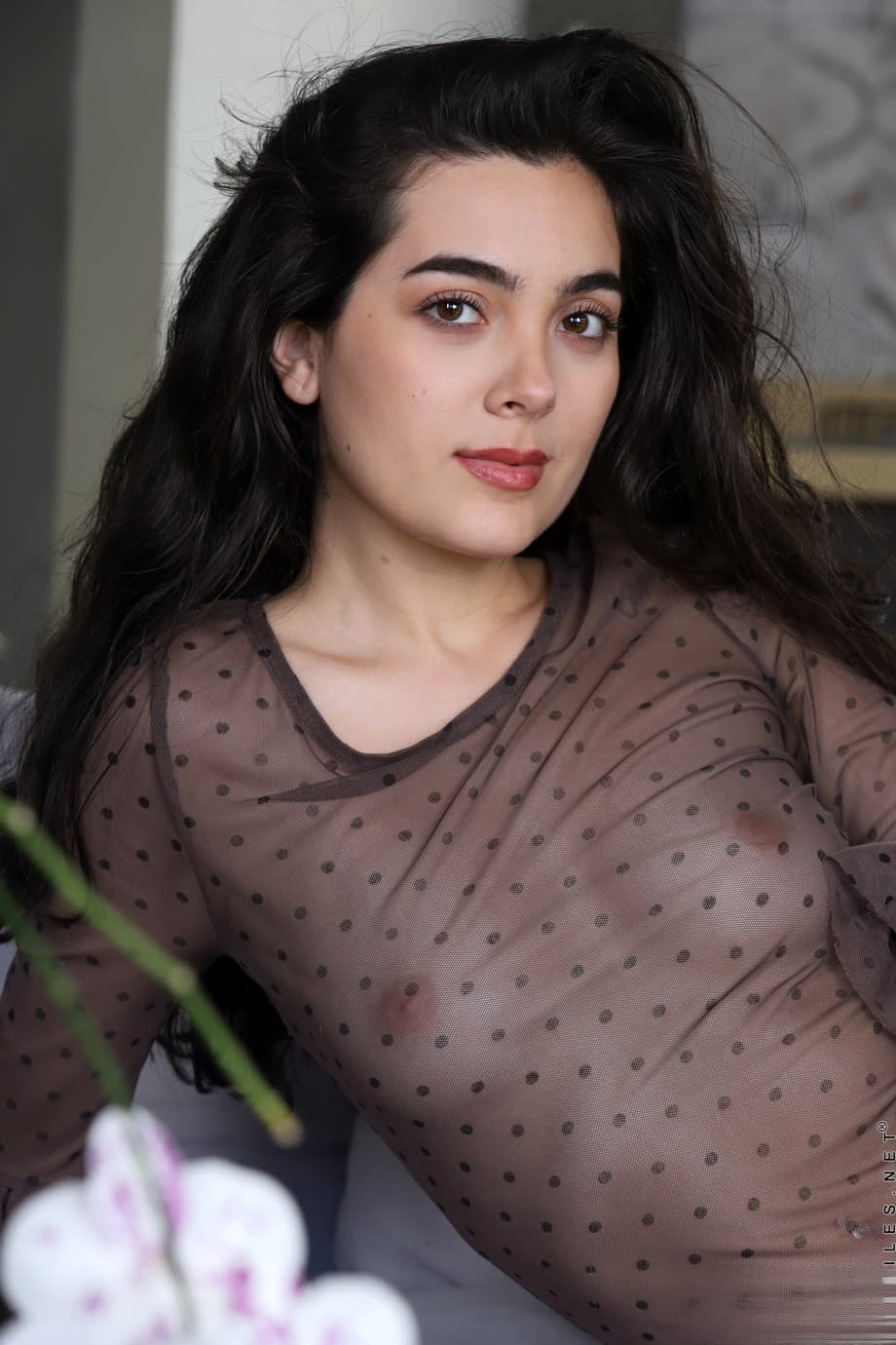 Judith shows off her juicy dark hair, naked curves, and round ass in stunning poses - 2