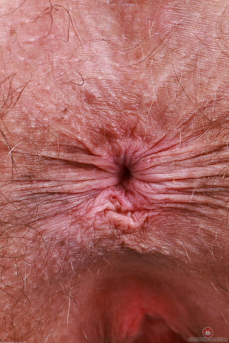 Elizabeth Explicitly Spreads Her Hairy Bush While Teasing in Sailor Cap - 21