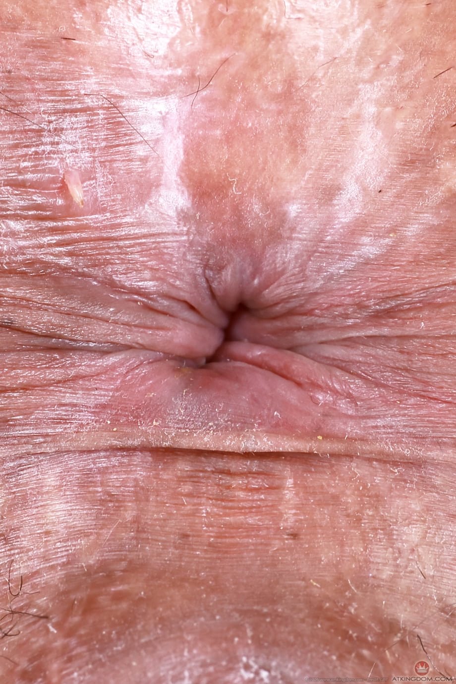 Raven Reverie Teases Her Creamy Holes In A Sizzling Solo - 21