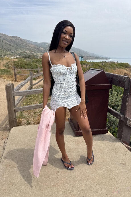 Lana Gee: Passera nuda e piedi ebony che lastricano la sua giornata di sensazioni - 14