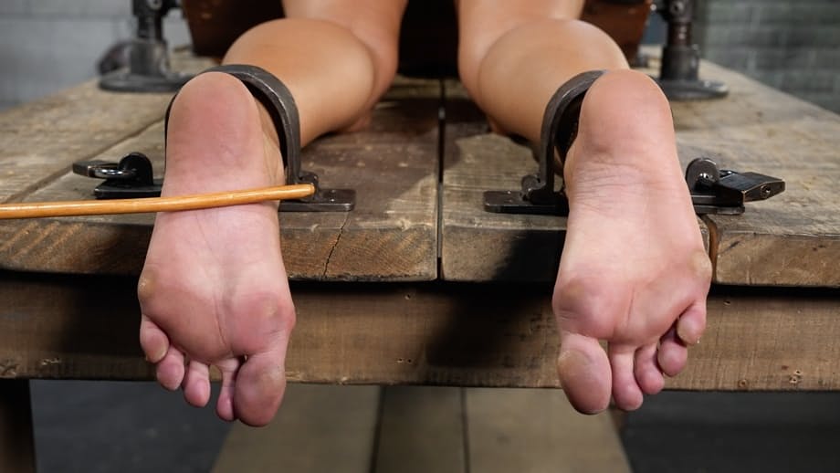 Melissa Stratton submits to The Pope in harsh device bondage - 15